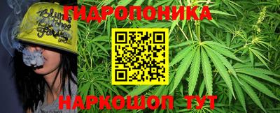 сатива Новокубанск