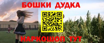 мдпв Новодвинск
