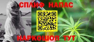 сатива Новокубанск
