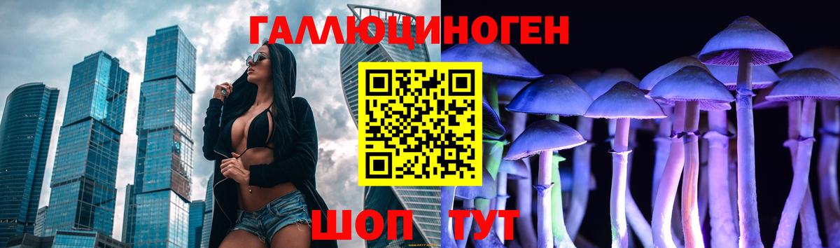 Псилоцибиновые грибы прущие грибы  Вход с VPN  Псилоцибиновые грибы Cubensis  как найти закладки  Хасавюрт 